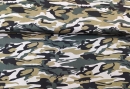Baumwollstoff Camouflage
